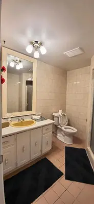 a bathroom with a sink and a toilet and a mirror at Cozy Home Close to Attractions in Niagara Falls in Thorold