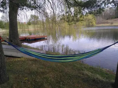 a hammock hanging from a tree next to a lake at Waterfront Hideaway Private Suite-King bed room in Tottenham