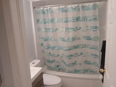 a bathroom with a toilet and a shower curtain at Furnished calm basement studio apartment in Mississauga