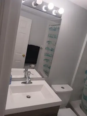 a bathroom with a sink and a mirror and a toilet at Furnished calm basement studio apartment in Mississauga