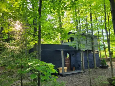 a blue house in the middle of a forest at Black Pine Tree House in Acton