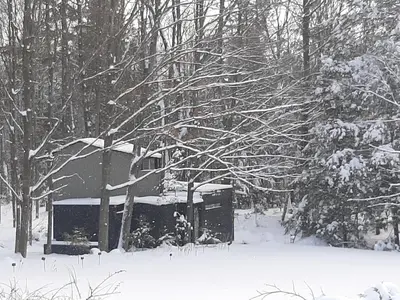 a tree with snow on it in front of a building at Black Pine Tree House in Acton