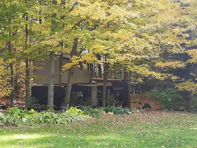 a tree house in the middle of a forest at Black Pine Tree House in Acton