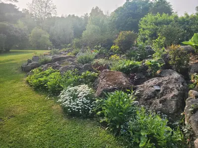a garden of rocks with flowers and plants at Black Pine Tree House in Acton
