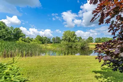 a pond in a field with grass and trees at Serene 4BR house with Hot tub, Lake, Billiards and BBQ in Georgina