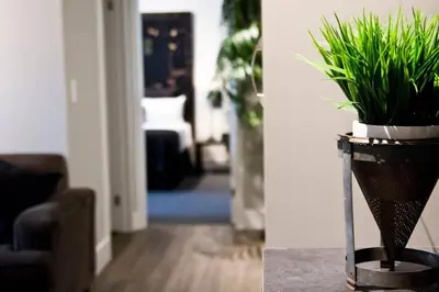 a plant sitting on a stand in a living room at Woodbine Warehouse Apartment in Toronto