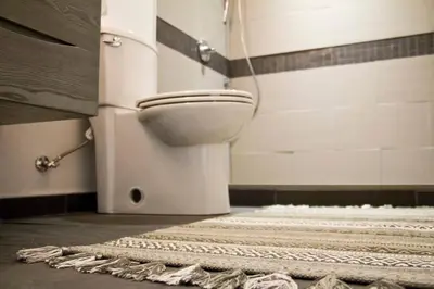 a bathroom with a toilet and a shower and a rug at Woodbine Warehouse Apartment in Toronto