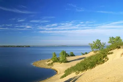 a large body of water with trees on a beach at Heaven on Huycks Bay in Hillier