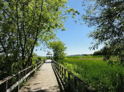 a wooden bridge over a field with a gazebo at New and Cozy Cottage Minutes to Blue Mountain in Meaford