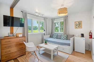 a small living room with a couch and a tv at Vineyard Villa in Niagara on the Lake
