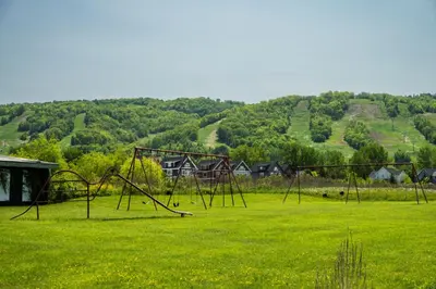 an empty playground in a field of green grass at 6 bdrm Blue Mountain Cottage, Private Beach Access, Hot Tub, Sauna, Table Tennis, BBQ, Petfriendly in Blue Mountains