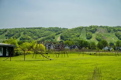 an empty playground in a field of green grass at 6 bdrm Blue Mountain Cottage, Private Beach Access, Hot Tub, Sauna, Table Tennis, BBQ, Petfriendly in Blue Mountains