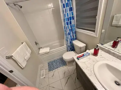 a bathroom with a toilet and a sink and a shower at Niagara's entertainment house in Thorold