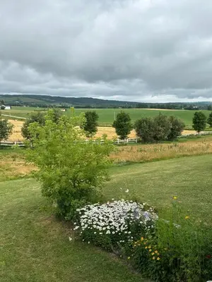 a field with flowers and trees in the grass at Mountain Ash Country Manor and Spa in Creemore