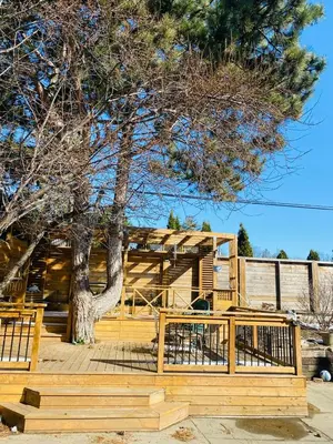 a wooden deck with a tree in front of a house at Riverwood Home in Mississauga