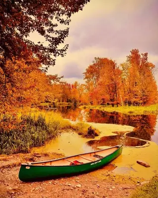 a green canoe sitting on the shore of a pond at 40BKickBack in Collingwood