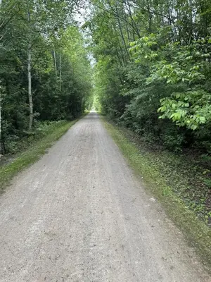 a dirt road in the middle of a forest at 19th Hole Hideaway in Collingwood