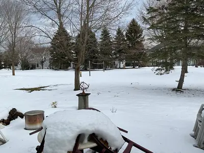 a snow covered object in a yard with trees at The Fairway Flat in Collingwood
