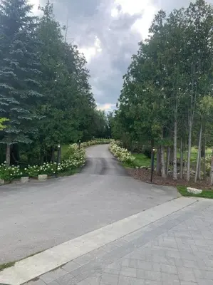 an empty road with trees and flowers on the side at Large Estate with Luxury Collection of Amenities in Schomberg