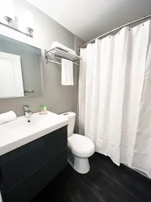 a bathroom with a toilet and a white shower curtain at Elegant City Living - 1 BR in London