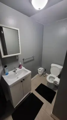 a bathroom with a sink and a toilet and a mirror at Newly Furnished Modern Apartment in Welland