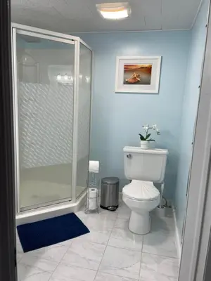 a bathroom with a toilet and a glass shower at Private Suite in Niagara Falls in Niagara Falls