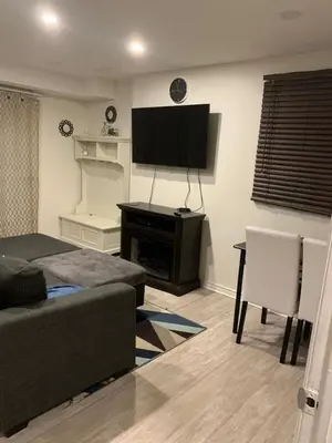 a living room with a couch and a flat screen tv at Lower Unit Entire Apartment in Cambridge