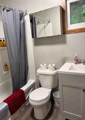 a white bathroom with a toilet and a sink at Lakefront Hideaway Resort 10 Total cabins-Lake View, Private Beach in Kawartha Lakes