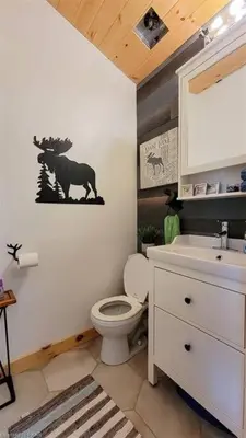 a bathroom with a white toilet and a sink at Waterfront Cottage - Fireplace - Kawartha in Lakefield