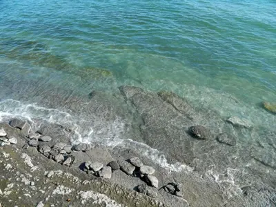 a group of rocks on the shore of the water at Cute and Cozy Lakefront Cottage in Wellington