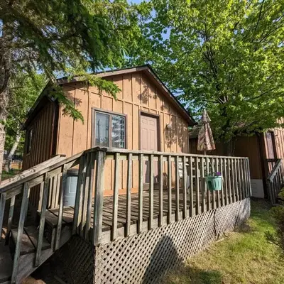 Tiny Wood Cottage 14