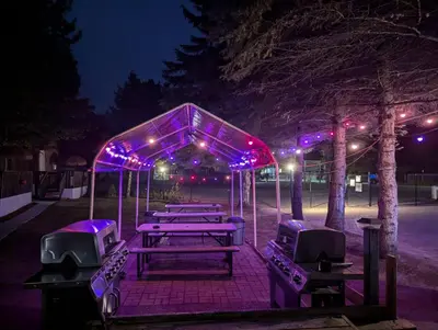 a group of picnic tables with purple lights at night at Tiny Wood Cottage 16 in Wasaga Beach
