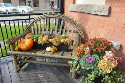 a wooden bench with a bunch of pumpkins and flowers at Danby House in Markdale