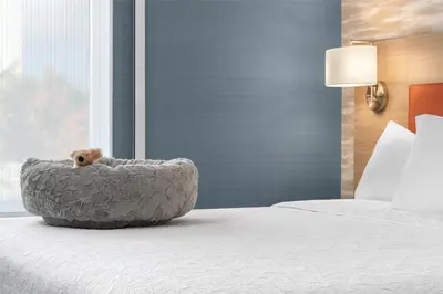 a teddy bear sitting in a bed in a hotel room at Home2 Suites By Hilton Kitchener in Kitchener