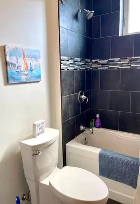 a bathroom with a toilet and a tub and a sink at Lakeside Maison in Hillier