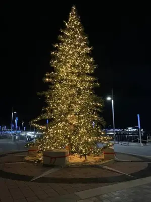 a christmas tree is lit up at night at Casa Lago 5 Bed Waterfront House in Innisfil