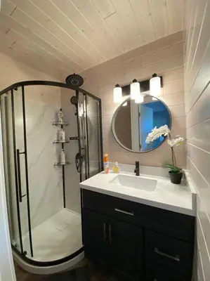 a bathroom with a shower and a sink and a mirror at Sunrise net cottage in Kawartha Lakes
