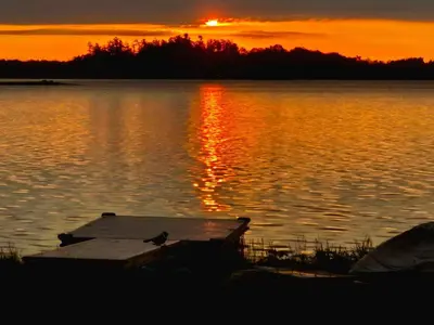 a bird sitting on a dock on a lake at sunset at Sunrise net cottage in Kawartha Lakes