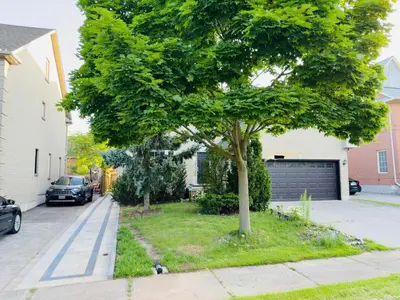 a tree in a yard next to a house at Spacious Basement in Oakville in Oakville