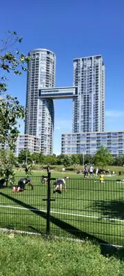 a group of people laying in a field with tall buildings at Downtown City View Escape with Free Parking in Toronto