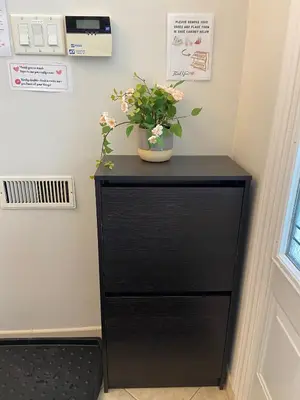 a black dresser with a plant on top of it at Sunny House - Main Floor, Free parking, in Toronto in Toronto