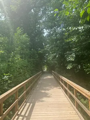 a wooden bridge over a river with trees at Luxury Apartment Living in Mississauga