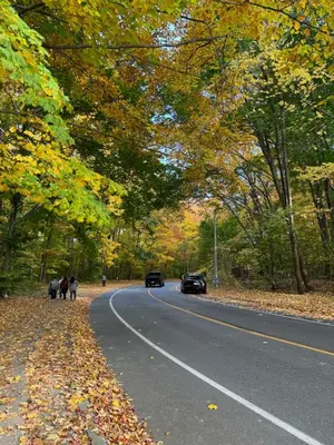 a road with trees and cars on the road at Luxury Apartment Living in Mississauga