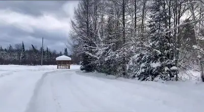 a gazebo in a snow covered field with trees at Peaceful and Heavenly Private Water Front Cottage on 100 Acres of Scenic Beauty- Trent Lakes in Kinmount
