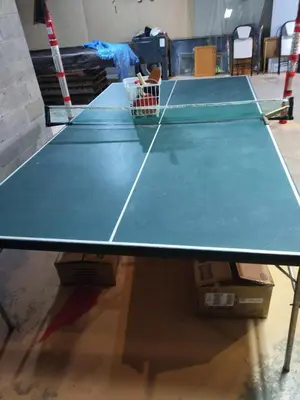 a ping pong table with a net on it at Cottage on the Pond in Millbrook