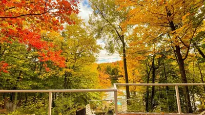a group of trees with autumn leaves on them at Summit Cottage on Kawagama Lake in Dorset