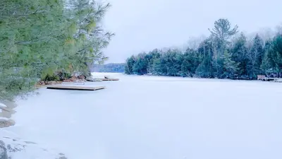a frozen lake with trees and snow on it at Summit Cottage on Kawagama Lake in Dorset