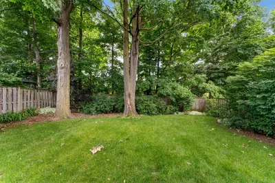 a yard with two trees and a fence at Luxury Home - 5 min from airport, 15 to downtown in Toronto