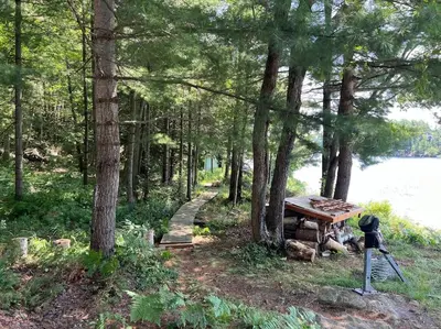 a picnic table in the woods next to a lake at Davi's Lake House in Torrance