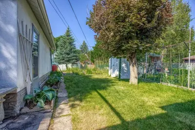 a yard with a tree next to a house at New 2 bedroom basement apartment in Guelph